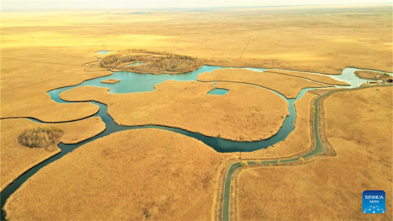 ?ποψη του εθνικο? φυσικο? καταφυγ?ου Τζαλ?νγκ στη ΒΑ Κ?να