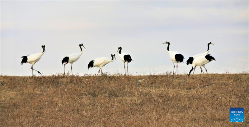 ?ποψη του εθνικο? φυσικο? καταφυγ?ου Τζαλ?νγκ στη ΒΑ Κ?να
