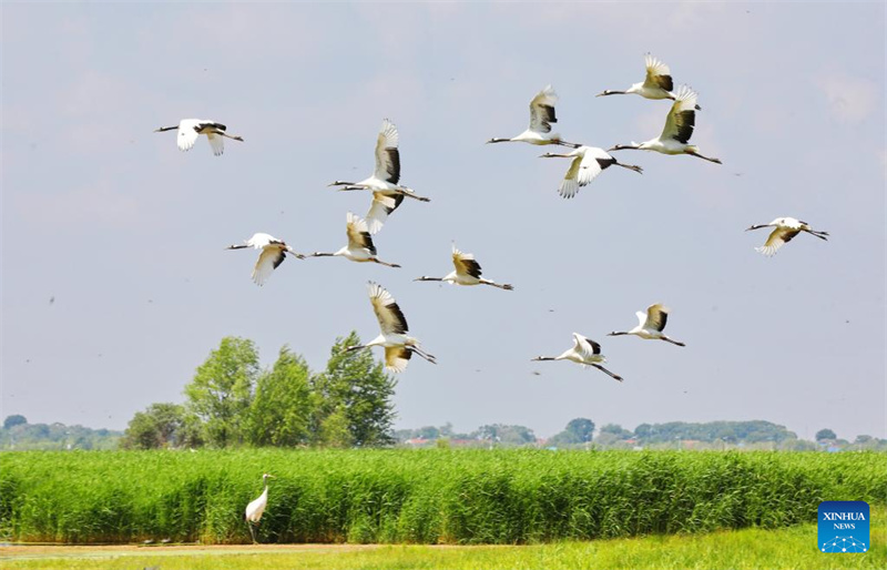?ποψη του εθνικο? φυσικο? καταφυγ?ου Τζαλ?νγκ στη ΒΑ Κ?να