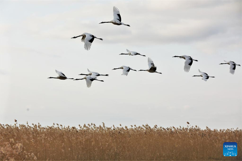 ?ποψη του εθνικο? φυσικο? καταφυγ?ου Τζαλ?νγκ στη ΒΑ Κ?να