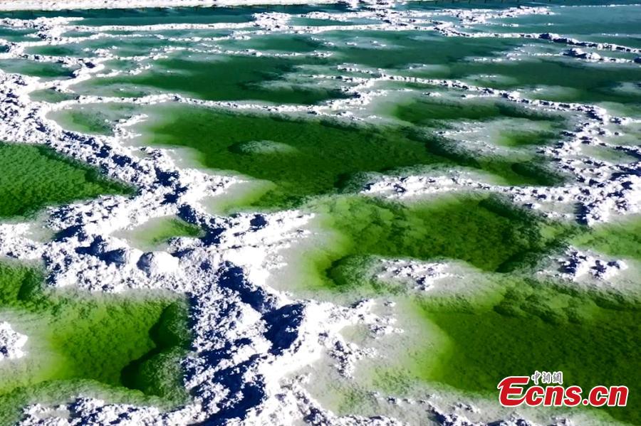 Αλυκ? Qarhan: σμαραγδ?νια πρ?σινη το φθιν?πωρο