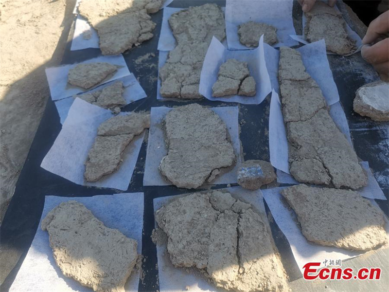 Μεγ?λο? αριθμ?? κειμηλ?ων αποκαλ?φθηκε στα ερε?πια των Τανγκ στην επαρχ?α Σιντζι?νγκ