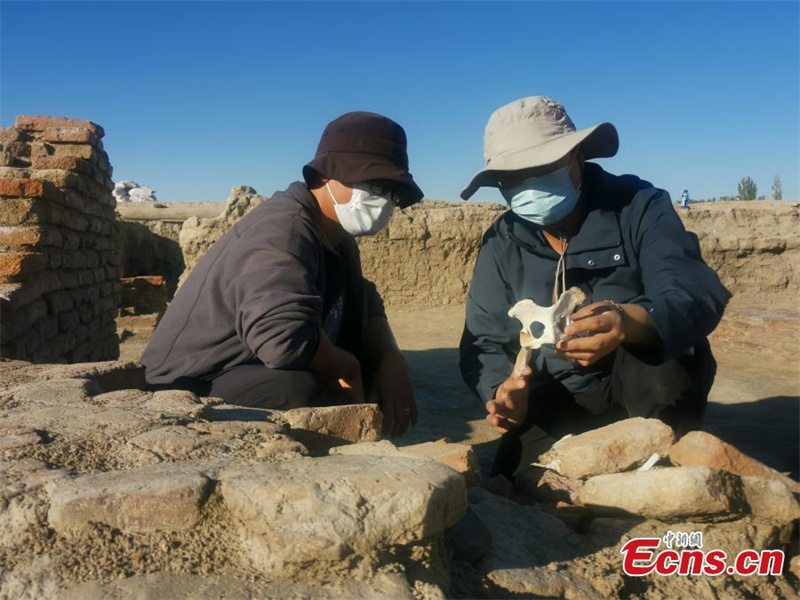 Μεγ?λο? αριθμ?? κειμηλ?ων αποκαλ?φθηκε στα ερε?πια των Τανγκ στην επαρχ?α Σιντζι?νγκ