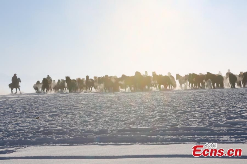?λογα τρ?χουν στα χιονισμ?να λιβ?δια του Σιντζι?νγκ