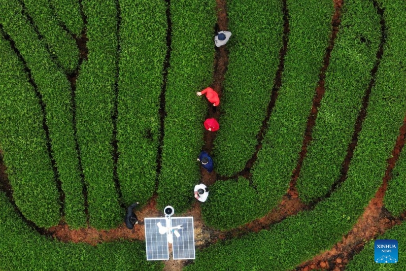To τσ?ι Γουγ? του Φουτζι?ν