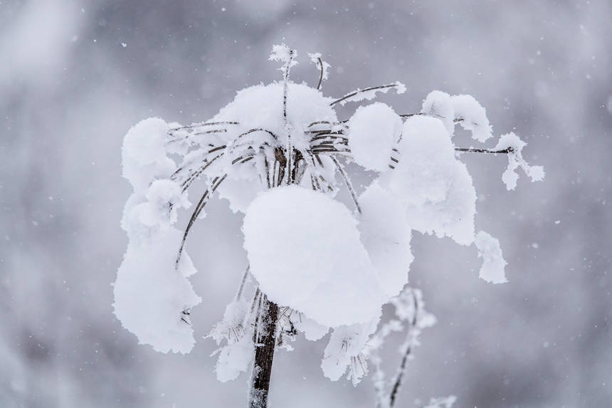 Τζιλ?ν: συνεχ?ζεται ο 