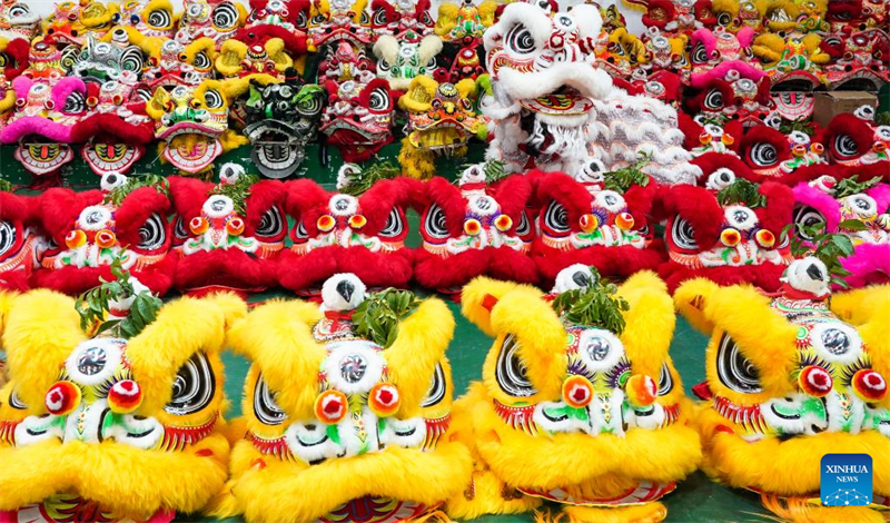 Ο χορ?? των λιονταρι?ν Γκουανγκντ?νγκ στο Φοσ?ν