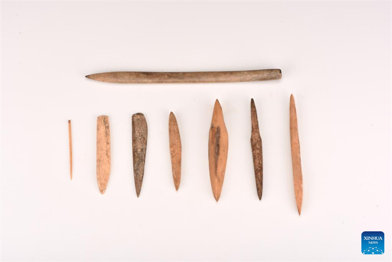 Η φωτογραφ?α που παρ?χεται απ? το Επαρχιακ? Ινστιτο?το Αρχαιολογ?α? τη? επαρχ?α? Σανσ? δε?χνει οστ?ινα εργαλε?α που ανακαλ?φθηκαν απ? τον αρχαιολογικ? χ?ρο Ντονγκτσιο? που χρονολογε?ται απ? την ?στερη περ?οδο τη? Δυναστε?α? Σια (2070 π.χ -1600 π.χ) στην κομητε?α Τζισ?ν τη? π?λη? Γιουντσ?νγκ, στην επαρχ?α Σανσ? τη? β?ρεια? Κ?να?. (Xinhua)