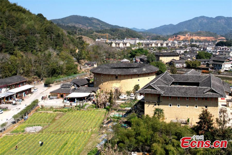 Λουλο?δια και τουλ?ου συνθ?τουν μια ειδυλλιακ? συμφων?α στο Φουτζι?ν