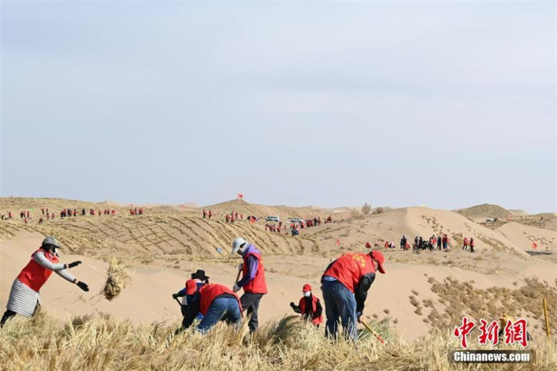 Μια μ?χη κατ? τη? ερημοπο?ηση? με ?πλο τα στ?χυα στο Γκανσο?