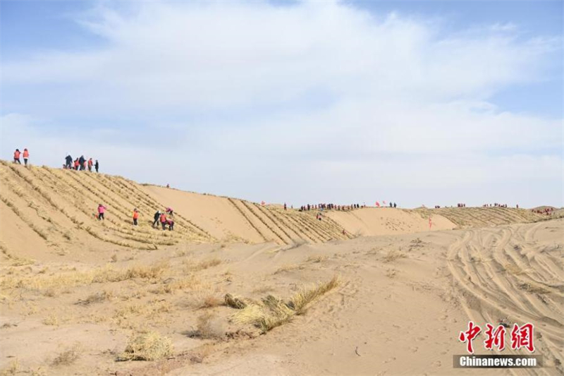 Μια μ?χη κατ? τη? ερημοπο?ηση? με ?πλο τα στ?χυα στο Γκανσο?