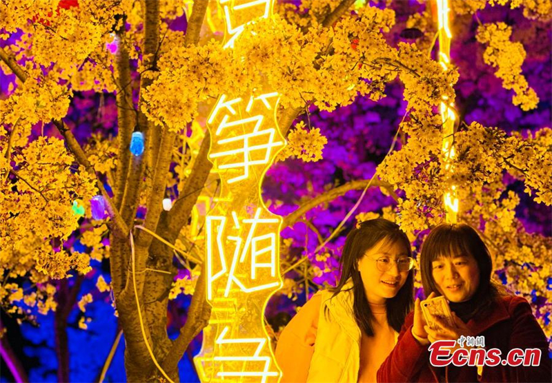 ?νθη κερασι?? και πολ?χρωμοι φωτισμο? ομορφα?νουν το Γιεντ?ι