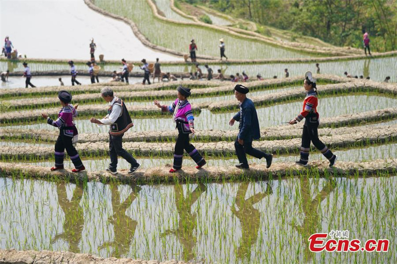 Οι Χ?νι γιορτ?ζουν το φεστιβ?λ γεωργ?α? στο Γιουν?ν