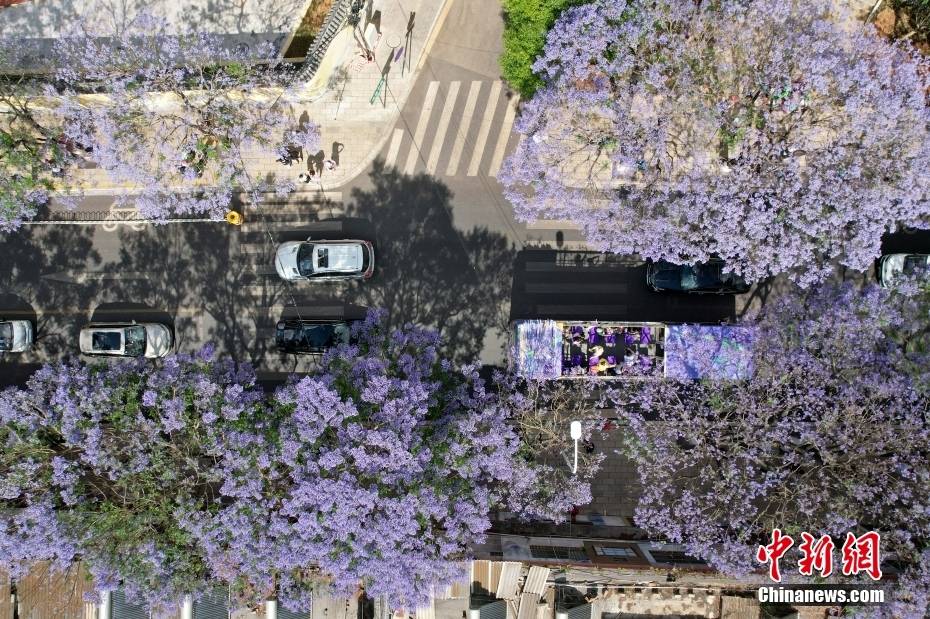 Δ?νδρα Ιακαρ?νδη??στην π?λη?Κουνμ?νγκ τη? επαρχ?α? Γιουν?ν ανθ?ζουν?σαν ?σερπαντ?να? και ντ?νουν?την οδ?