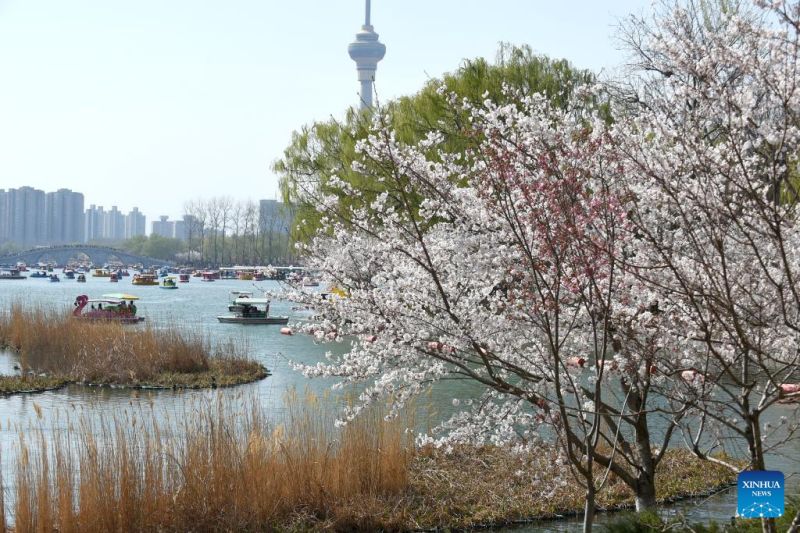 Κ?σμο? απολαμβ?νει την ?νοιξη στο π?ρκο Γιουγιουαν’τ?ν στο Πεκ?νο