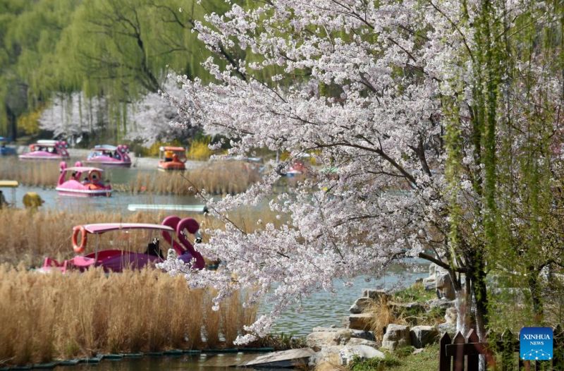 Κ?σμο? απολαμβ?νει την ?νοιξη στο π?ρκο Γιουγιουαν’τ?ν στο Πεκ?νο