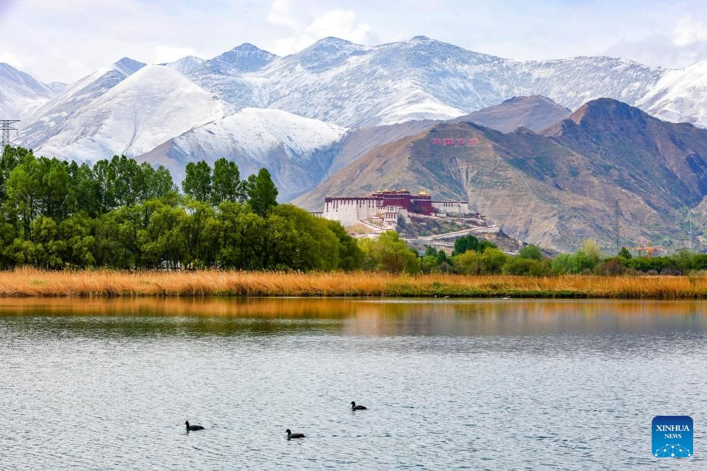 Αυτ? η φωτογραφ?α που τραβ?χτηκε στι? 12 Μα?ου 2023 δε?χνει τον υγρ?τοπο Lhalu στη Λ?σα, στην Αυτ?νομη Περιοχ? του Θιβ?τ τη? νοτιοδυτικ?? Κ?να?. [Φωτογραφ?α / Xinhua]