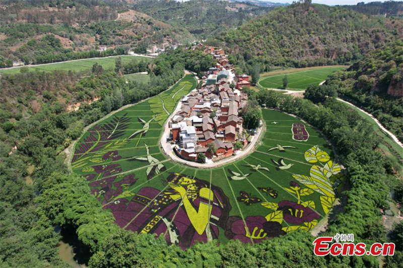 Τερ?στια ?ργα τ?χνη? στου? ορυζ?νε? του Γιουν?ν