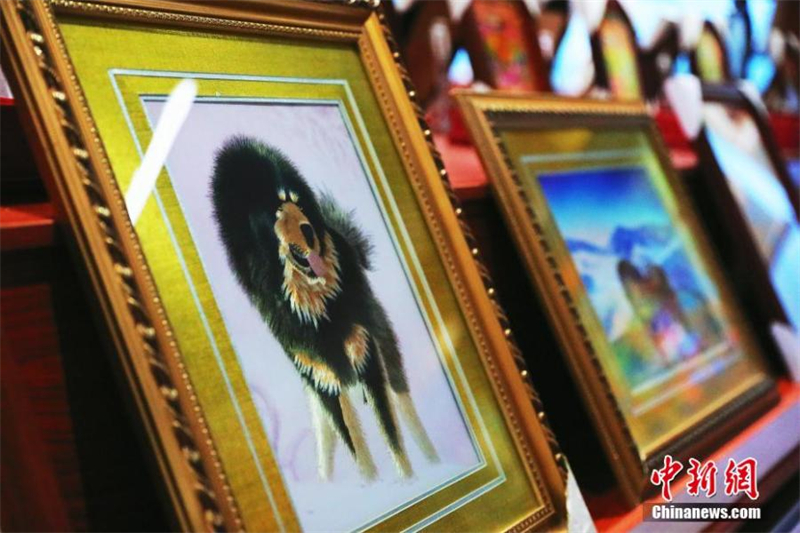 Θιβετιαν? κ?ντημα στο Τσινγκχ?ι