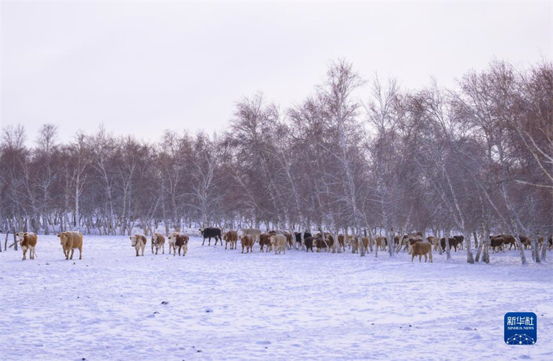 ?μορφο χειμωνι?τικο τοπ?ο στο λιβ?δι