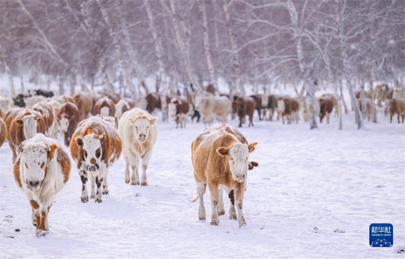 ?μορφο χειμωνι?τικο τοπ?ο στο λιβ?δι