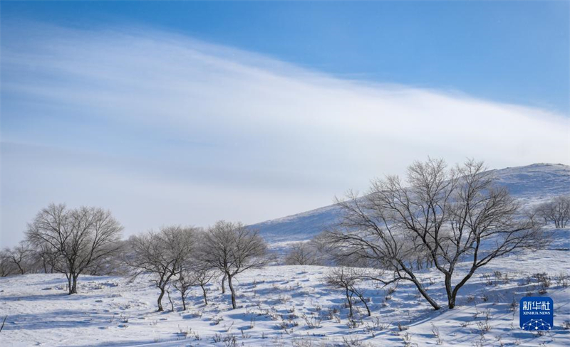 ?μορφο χειμωνι?τικο τοπ?ο στο λιβ?δι