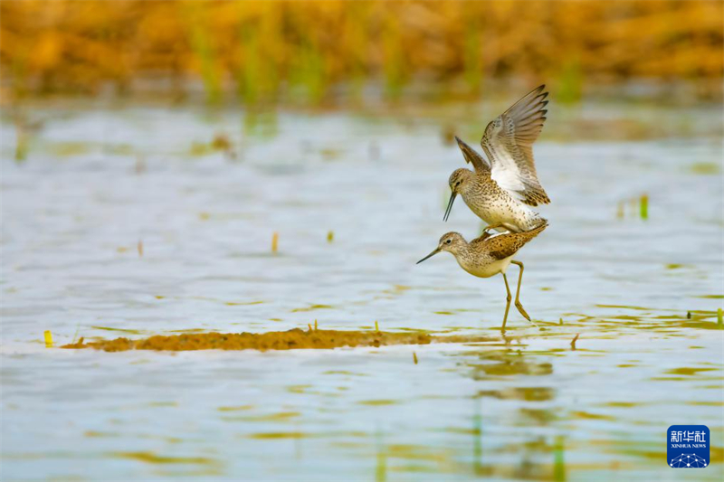 Το γεμ?το ζω? Φυσικ? Καταφ?γιοΤζαλ?νγκ