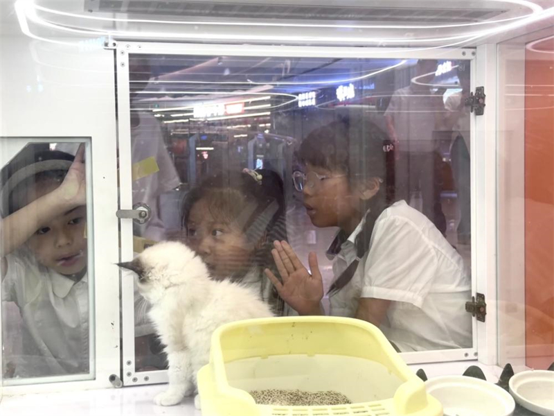 Η υιοθεσ?α τετρ?ποδων γ?νεται δημοφιλ?? στην Κ?να