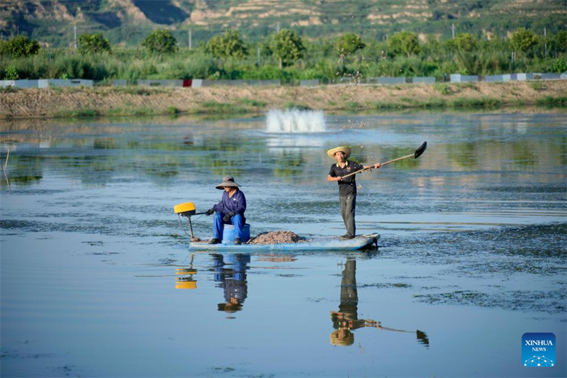 Καλλι?ργεια καβουρι?ν στο χωρι? τη? επαρχ?α? Σανσ?