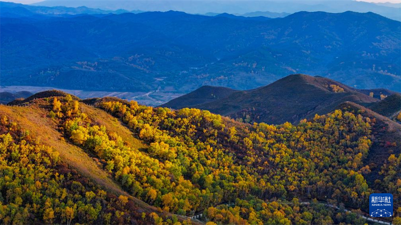 Πετ?ξτε π?νω απ? τα μεγ?λα ποτ?μια και τα βουν?