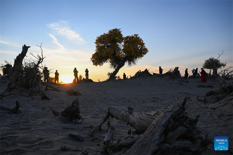 Φθινοπωριν? ?ποψη τη? αυτ?νομη? επαρχ?α? Ετζ?να Μπ?νερ στην Αυτ?νομη Περιοχ? τη? Εσωτερικ?? Μογγολ?α?