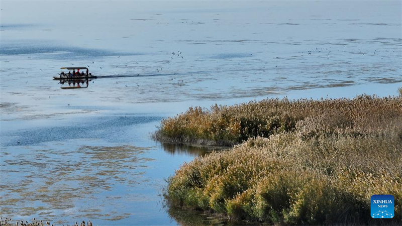 Φθινοπωριν? ?ποψη τη? αυτ?νομη? επαρχ?α? Ετζ?να Μπ?νερ στην Αυτ?νομη Περιοχ? τη? Εσωτερικ?? Μογγολ?α?