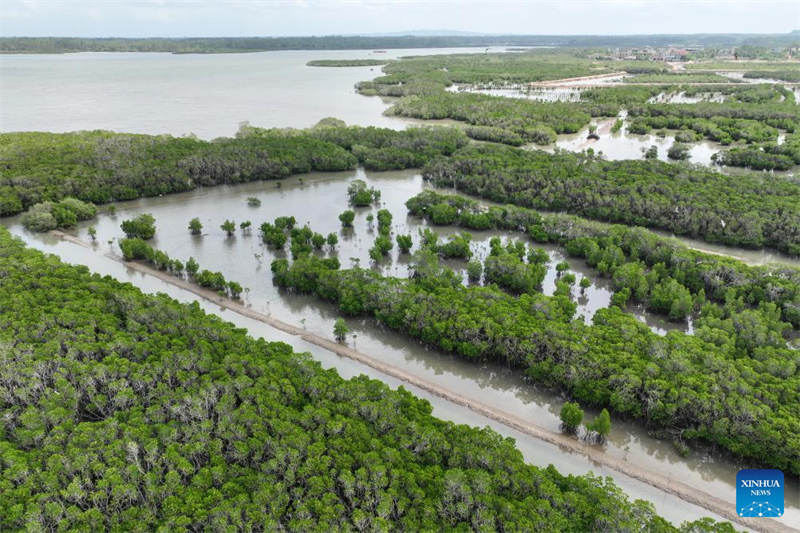 H επαρχ?α Χα?ν?ν προσελκ?ει αποδημητικ? πουλι? χ?ρη στο βελτιωμ?νο οικολογικ? τη? περιβ?λλον