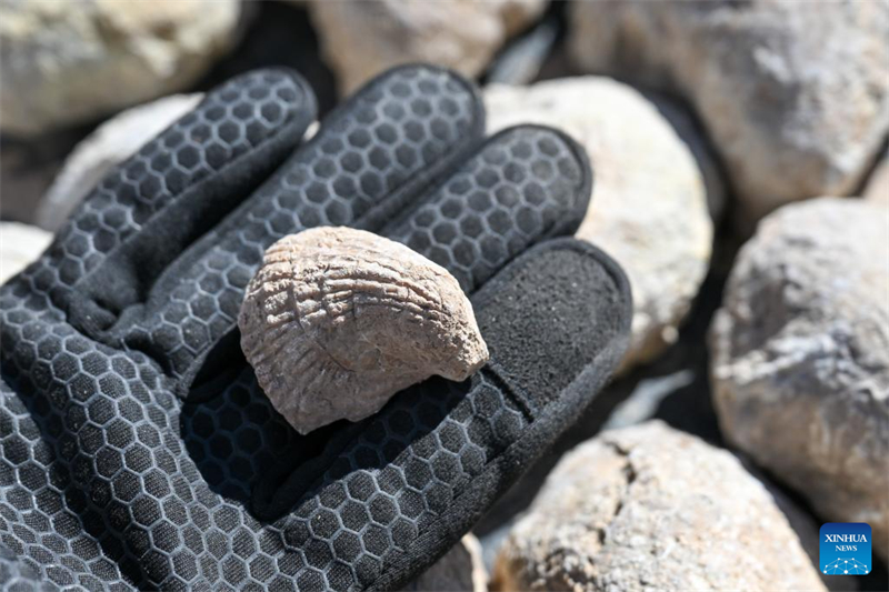 Ολοκληρ?θηκε πολυεπιστημονικ? αποστολ? στην επαρχ?α Σιντζι?νγκ