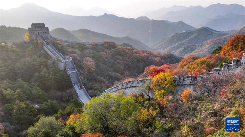 Το τμ?μα Μπανταλ?νγκ του Σινικο? Τε?χου? ε?ναι βαμμ?νο με πυκν? δ?ση