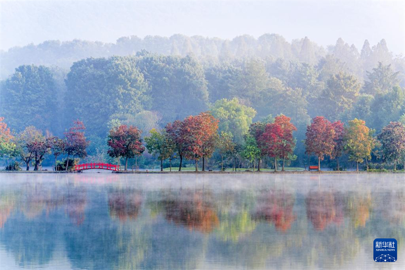 H Κ?να ντ?νεται με πολ?χρωμα φθινοπωριν? χρ?ματα