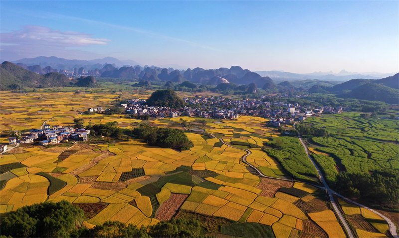 (Φωτογραφ?α / Λα?κ? Καθημεριν? Online)