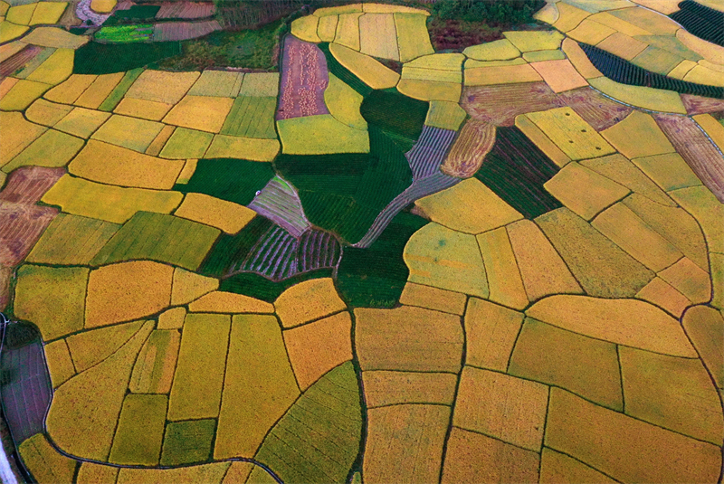 Στην επαρχ?α Γκουανσ? η ?παιθρο? ε?ναι πολ?χρωμη με ?φθονα τοπ?α