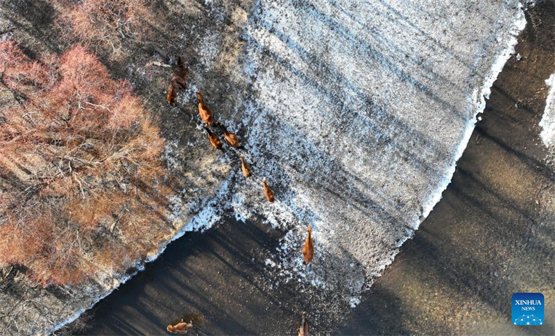 Πρ?ιμο χειμωνι?τικο τοπ?ο στην Εσωτερικ? Μογγολ?α