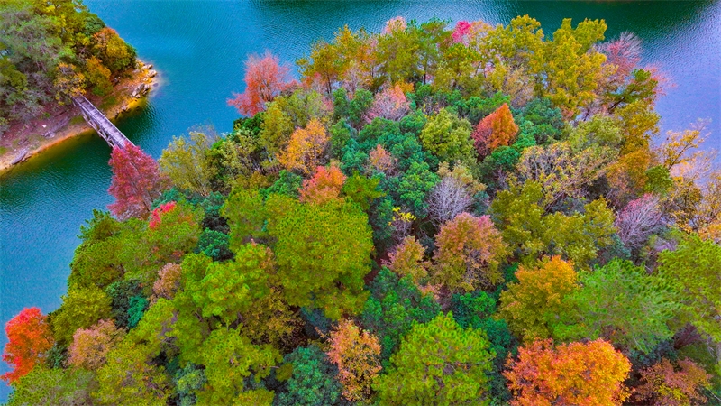 Τα πολ?χρωμα νησι? τη? λ?μνη? Τσιεντ?ο