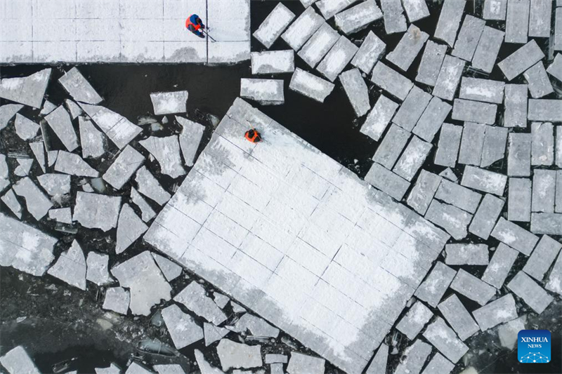 Η σεζ?ν συλλογ?? π?γου ξεκιν? στο Χαρμπ?ν, στη β?ρεια Κ?να