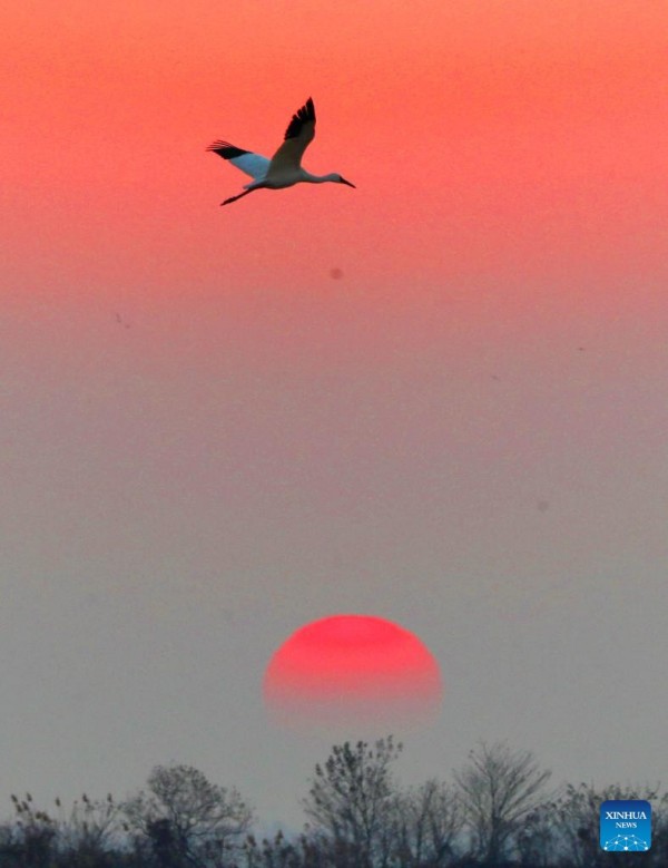 Στιγμι?τυπα τη? σημεριν?? ειδησιογραφ?α? στην Κ?να