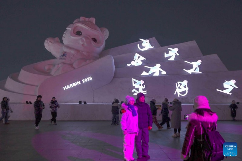 Μαγνητ?ζουν του? επισκ?πτε? τα γλυπτ? απ? χι?νι στο Χαρμπ?ν