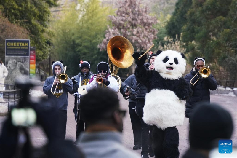Ζευγ?ρι γιγ?ντιων Π?ντα κ?νει το δημ?σιο ντεμπο?το του στην Ου?σιγκτον