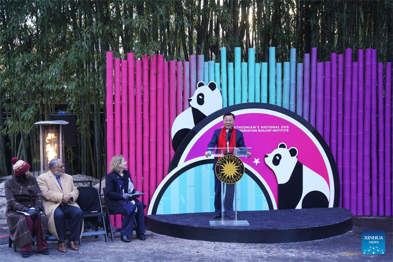 Ζευγ?ρι γιγ?ντιων Π?ντα κ?νει το δημ?σιο ντεμπο?το του στην Ου?σιγκτον