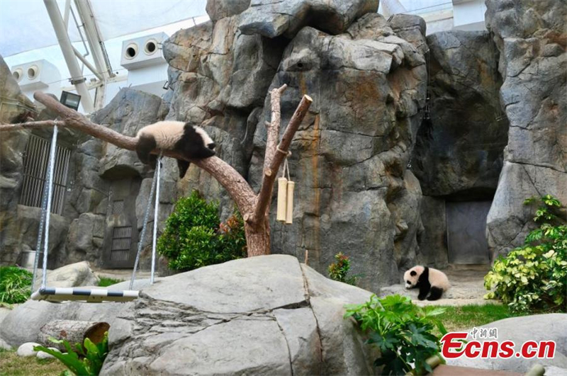 Χαριτωμ?να δ?δυμα π?ντα συναντο?ν τα μ?σα ενημ?ρωση? στο Χονγκ Κονγκ