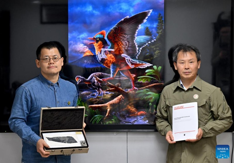 Στιγμι?τυπα τη? σημεριν?? ειδησιογραφ?α? στην Κ?να