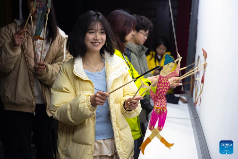 Το Θ?ατρο Σκι?ν τη? οικογ?νεια? Wang στην επαρχ?α Σιτσου?ν τη? Κ?να?