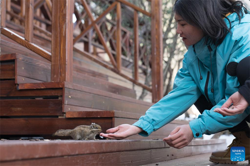 Το παν?μορφο Εθνικ? Π?ρκο Ποτ?τσο στην Γιουν?ν τη?? Κ?να?