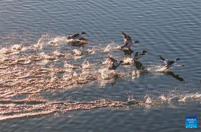 Ανοιξι?τικε? εικ?νε? σε ?λη την Κ?να